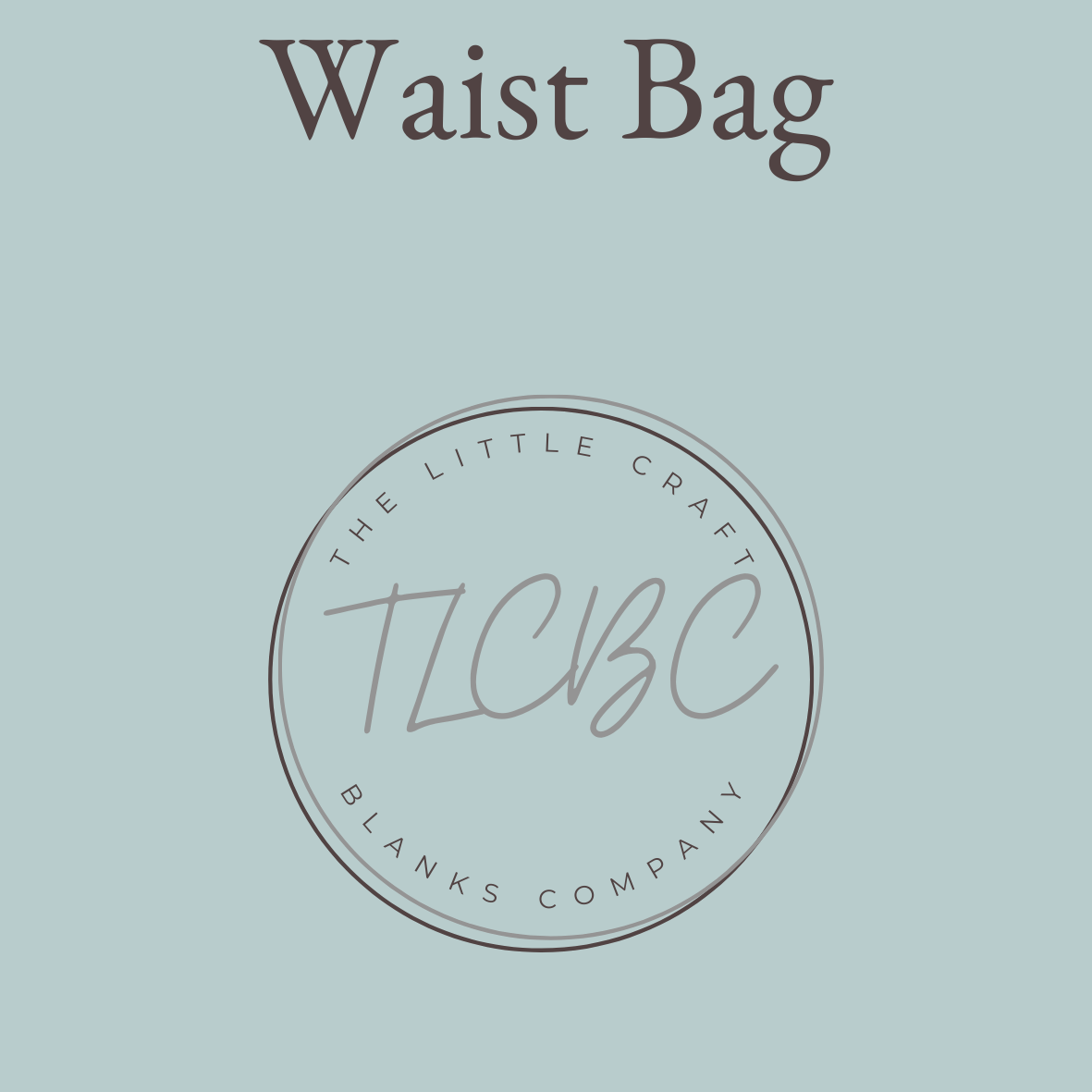 Boutique Waist Bag